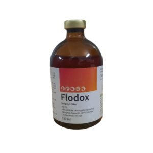 Flodox - Thuốc Trị Thương Hàn, Viêm Phổi, Viêm Ruột