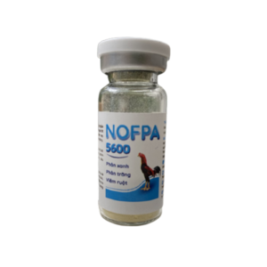 Thuốc Nofpa 5600